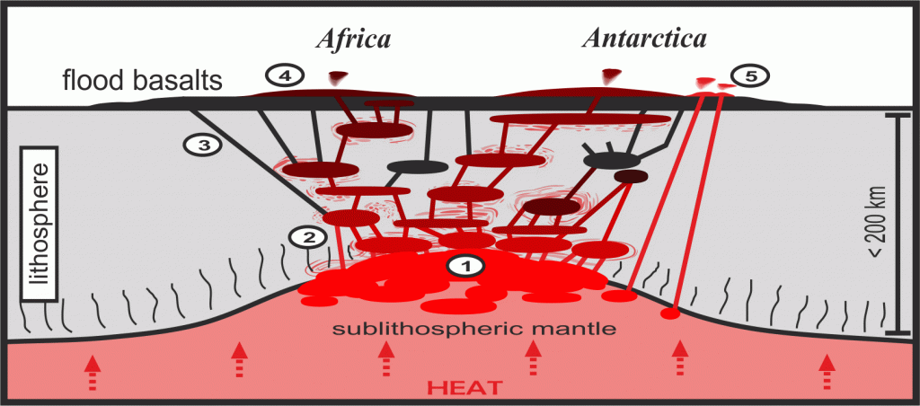 Schematic cross-section of the Karoo continental flood basalt province c. 180 million years ago. 1) Mantle melts extensively and the 2) melts intrude the lithosphere (=crust + brittle upper mantle), where they form large magma chambers and mix with it. 3) The contaminated melts proceed upwards and 4) erupt from shield volcanoes or fissures. 5) Some rare melts do not assimilate lithosphere and preserve the original mantle-derived geochemical signature. Image: Luomus / Jussi Heinonen