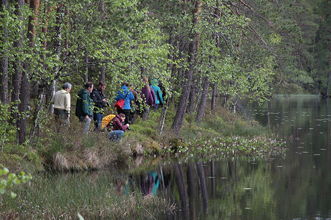 Evon metsälampien kauneus teki vierailijoihin vaikutuksen. Kuva: Varpu Pärssinen / LUOMUS