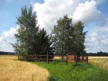 1500 vuotias Levänluhdan hauta uinuu pohjalaisen pellon keskellä. 