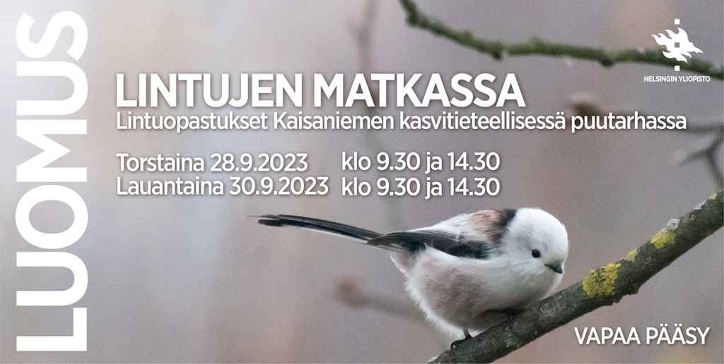 Lintujen matkassa -opastukset Kaisaniemen kasvitieteellisessä puutarhassa