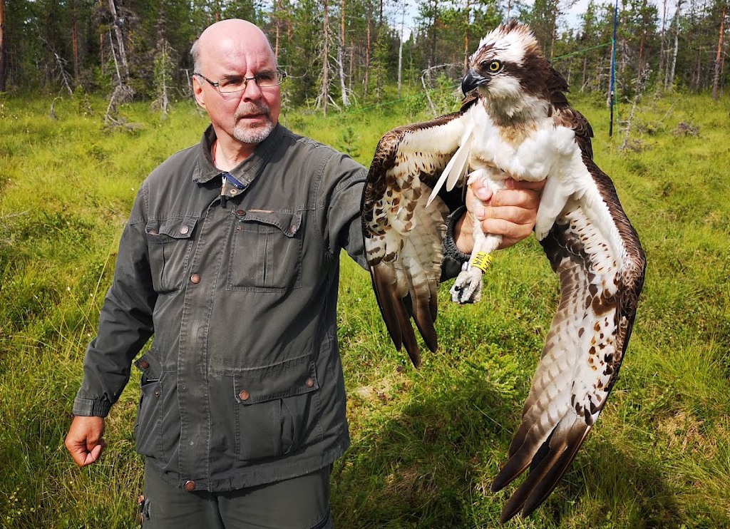 Raimo Koskenkorva ja satelliittisääksi Rami