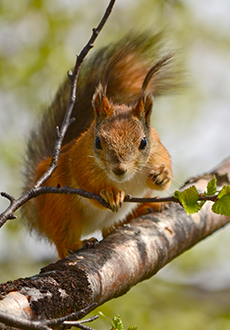 (Photo: Pinja Näkki)