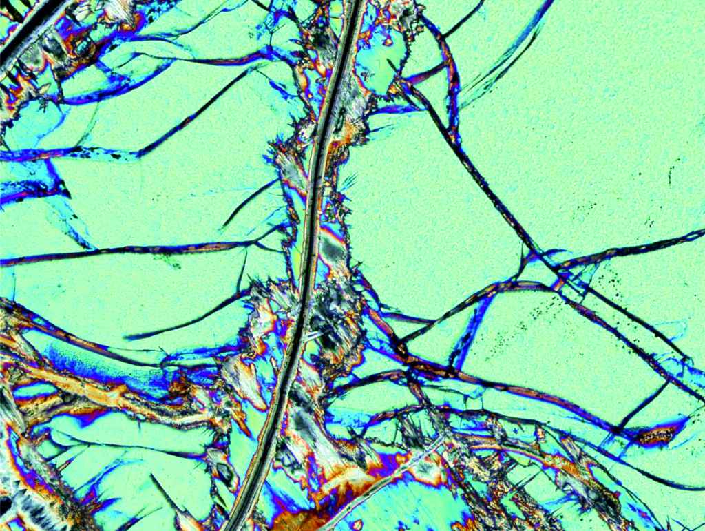 Olivine crystal. Primitive lavas containing magnesium-rich olivine can record early events of the magmatic system. Photo: Sanni Turunen.