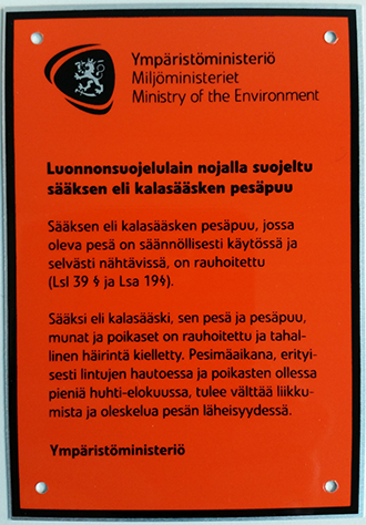 Rauhoitustaulu kertoo sääksen pesäpuun olevan seurannassa. Kyltti voi olla oranssi, ruskea tai keltainen, ja sen avulla pystyy tunnistamaan ja säilyttämään sääksille soveltuvan pesäpuun silloinkin, kun puu on tilapäisesti tyhjillään. Kuva Heidi Björklund / Luomus