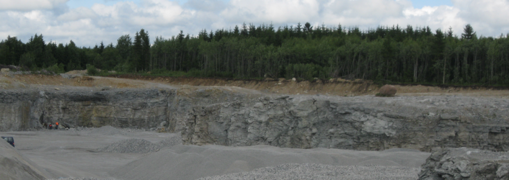 Ordovician reef in a limestone quarry, Vasalemma, Estonia