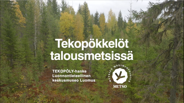 Tekopökkelöt talousmetsissä -videon alku