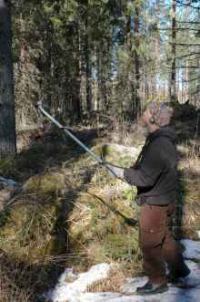 Jarmo Piiroinen paikallistamassa vastaanottimella pohjantikkakoiraan lähettimen signaalia Evon Tuohikarpionharjulla keväällä 2005. (Kuva: Ville Vepsäläinen)